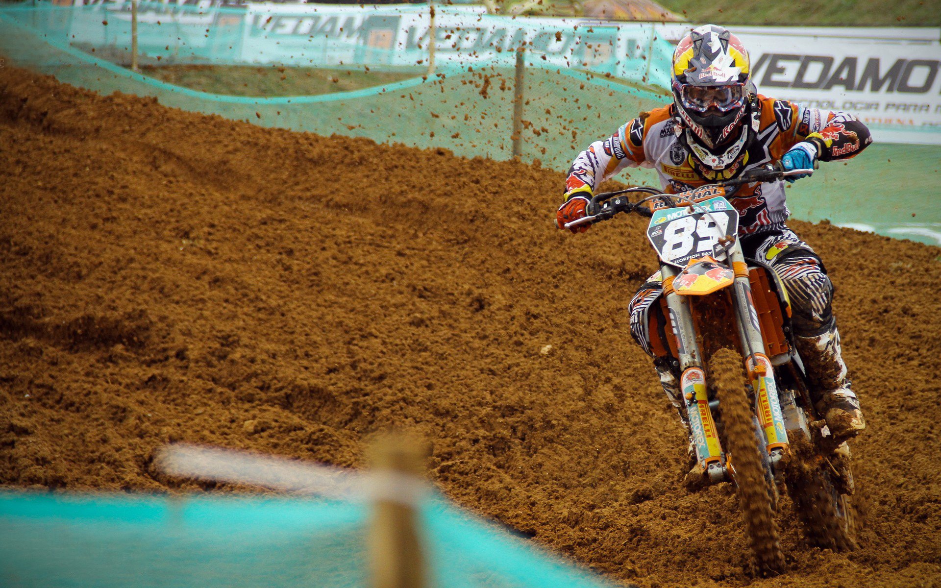 体育文化周在高校举办丰富活动内容，体育文化周总结