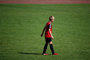 开云下载网址-中国足球俱乐部青训营技术指导持续加强，中国足球青训机构